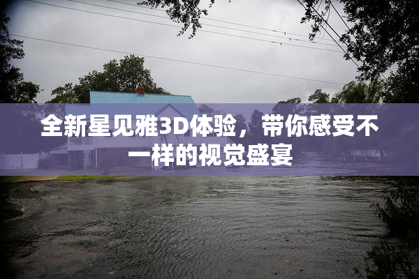 全新星见雅3D体验，带你感受不一样的视觉盛宴