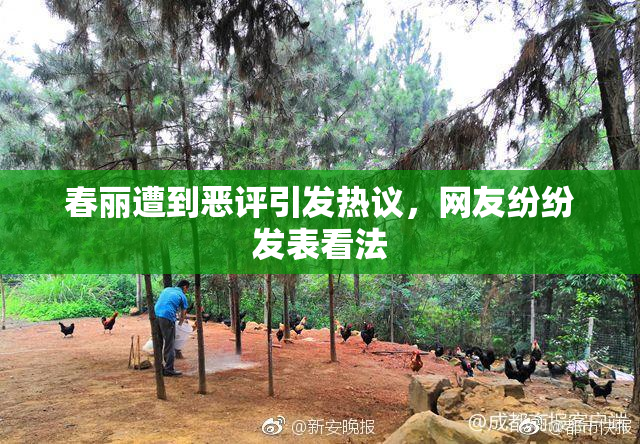 春丽遭到恶评引发热议，网友纷纷发表看法