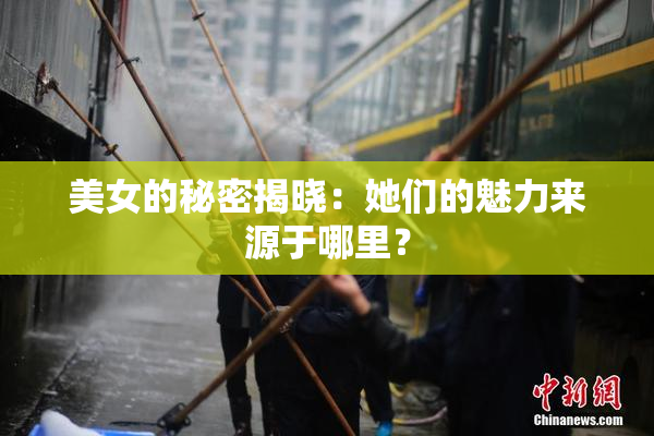 美女的秘密揭晓：她们的魅力来源于哪里？