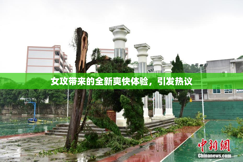 女攻带来的全新爽快体验，引发热议