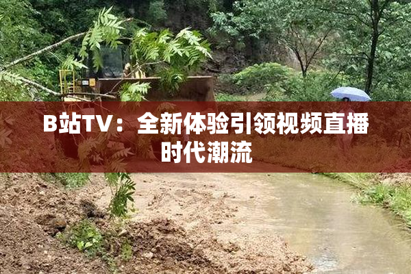B站TV：全新体验引领视频直播时代潮流