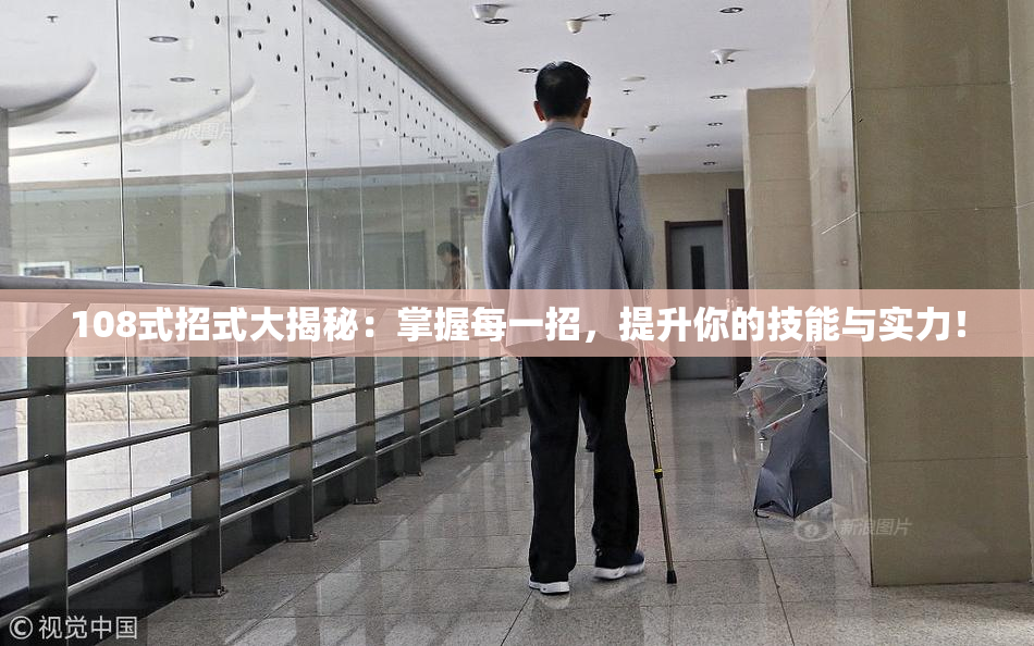 108式招式大揭秘：掌握每一招，提升你的技能与实力！