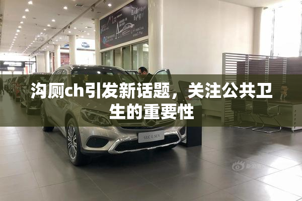 沟厕ch引发新话题，关注公共卫生的重要性
