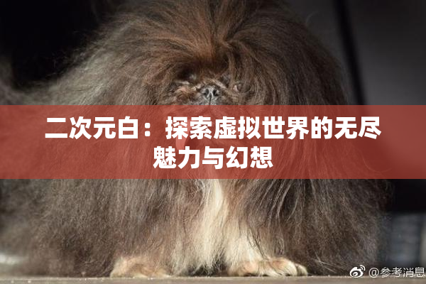 二次元白：探索虚拟世界的无尽魅力与幻想