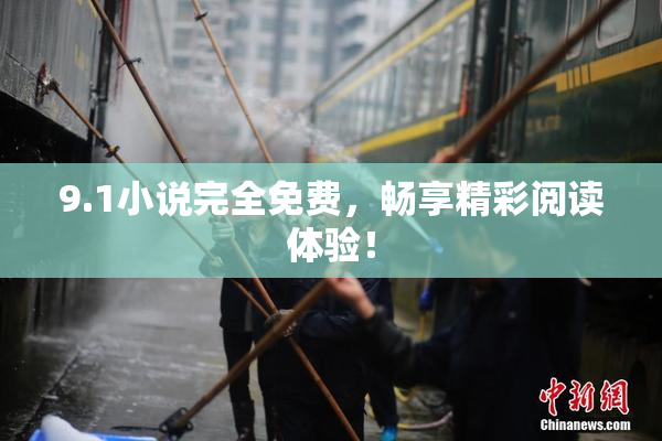 9.1小说完全免费，畅享精彩阅读体验！