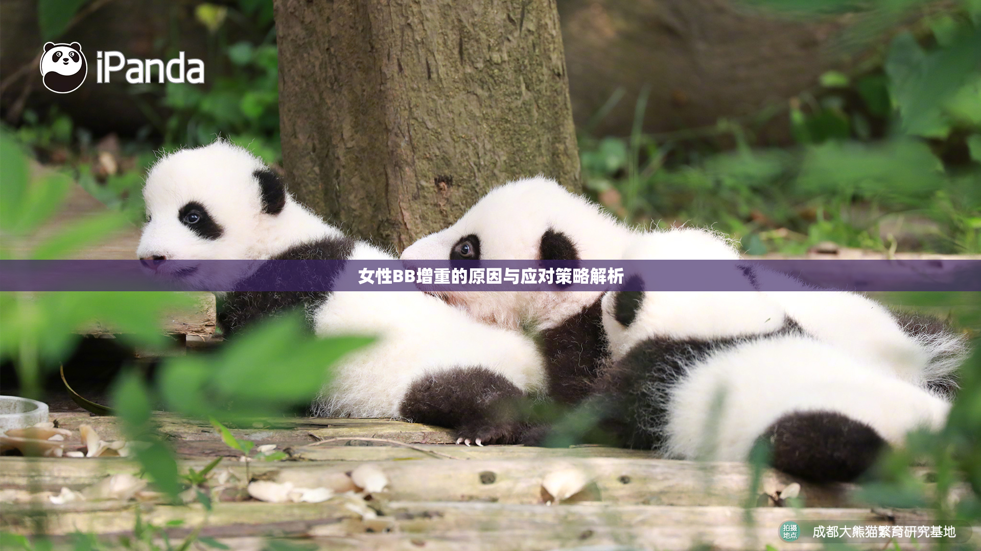 女性BB增重的原因与应对策略解析