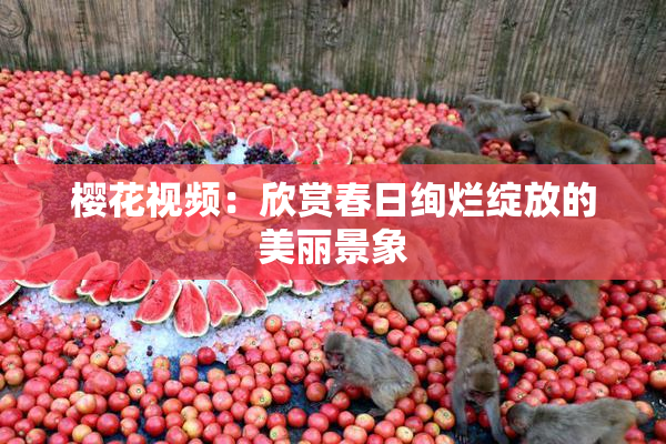 樱花视频：欣赏春日绚烂绽放的美丽景象