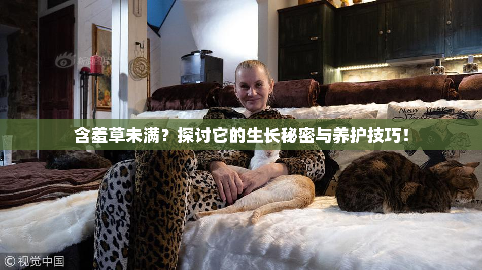 含羞草未满？探讨它的生长秘密与养护技巧！