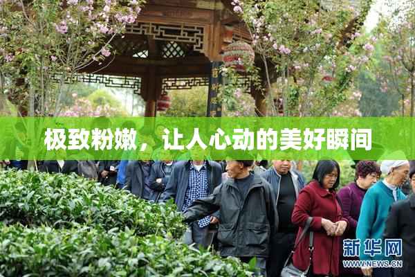 极致粉嫩，让人心动的美好瞬间