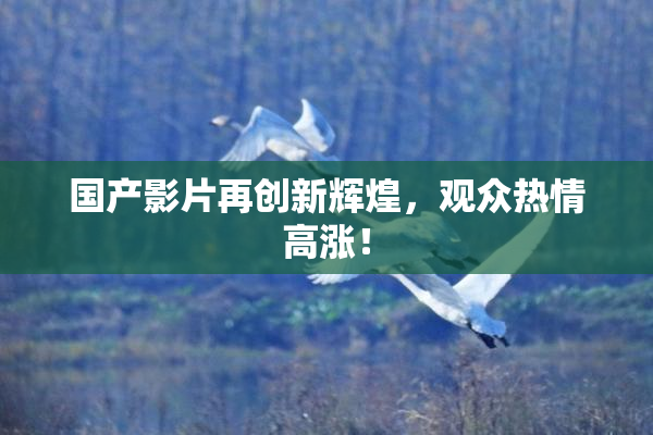 国产影片再创新辉煌，观众热情高涨！