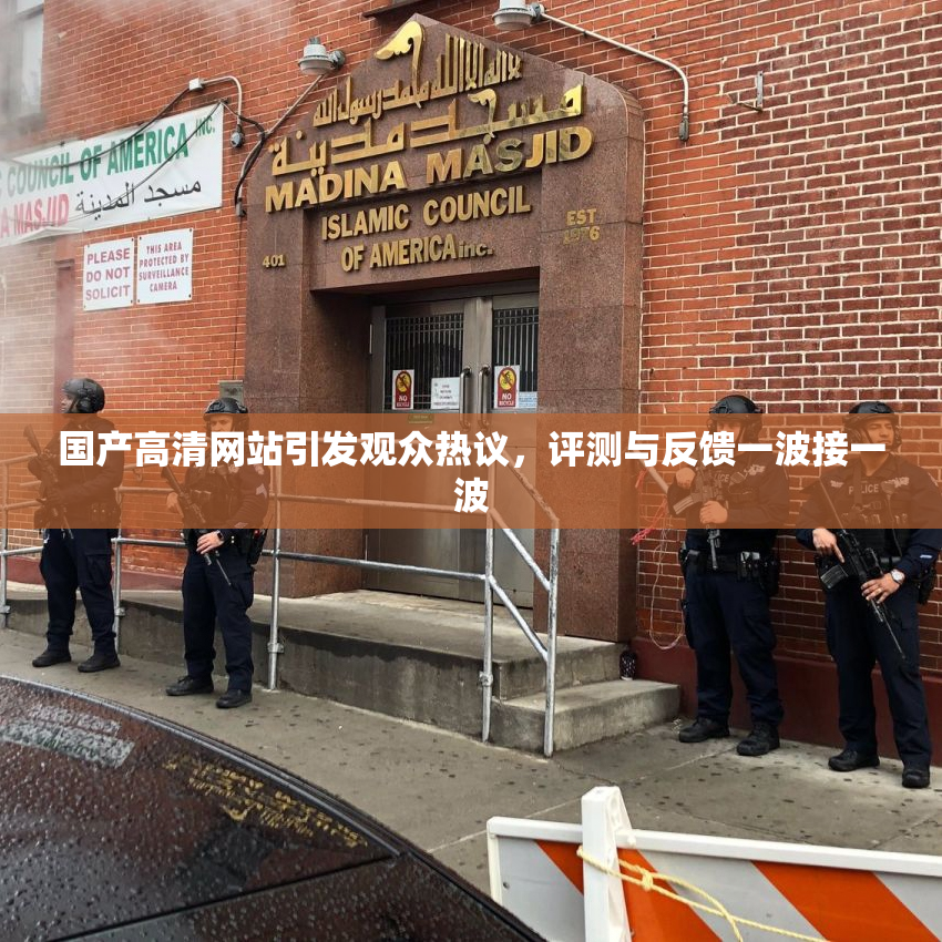 国产高清网站引发观众热议，评测与反馈一波接一波