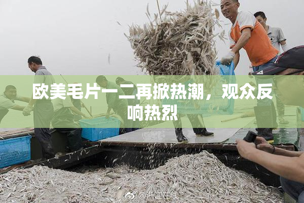 欧美毛片一二再掀热潮，观众反响热烈