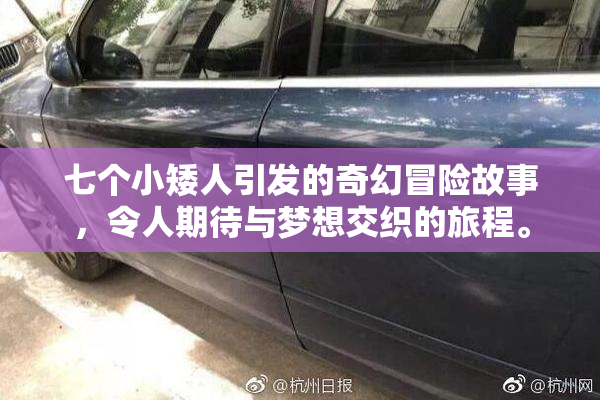 七个小矮人引发的奇幻冒险故事，令人期待与梦想交织的旅程。