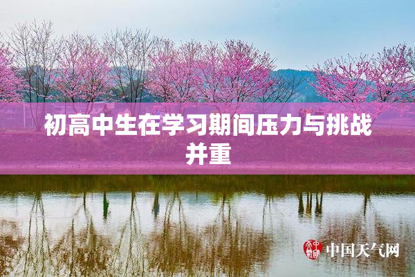 初高中生在学习期间压力与挑战并重