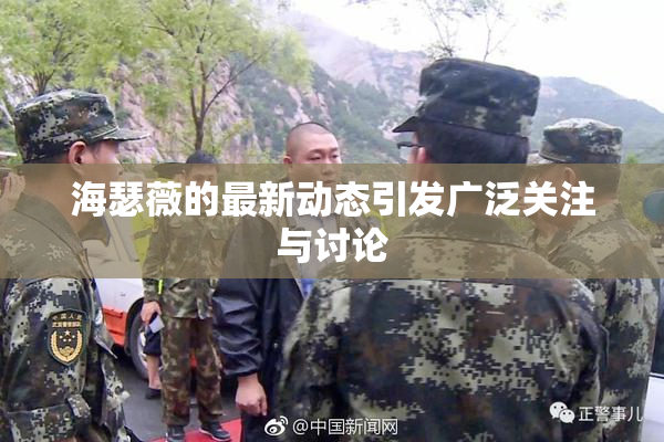 海瑟薇的最新动态引发广泛关注与讨论
