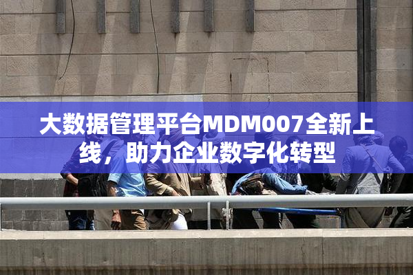 大数据管理平台MDM007全新上线，助力企业数字化转型