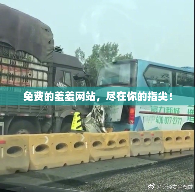 免费的羞羞网站，尽在你的指尖！