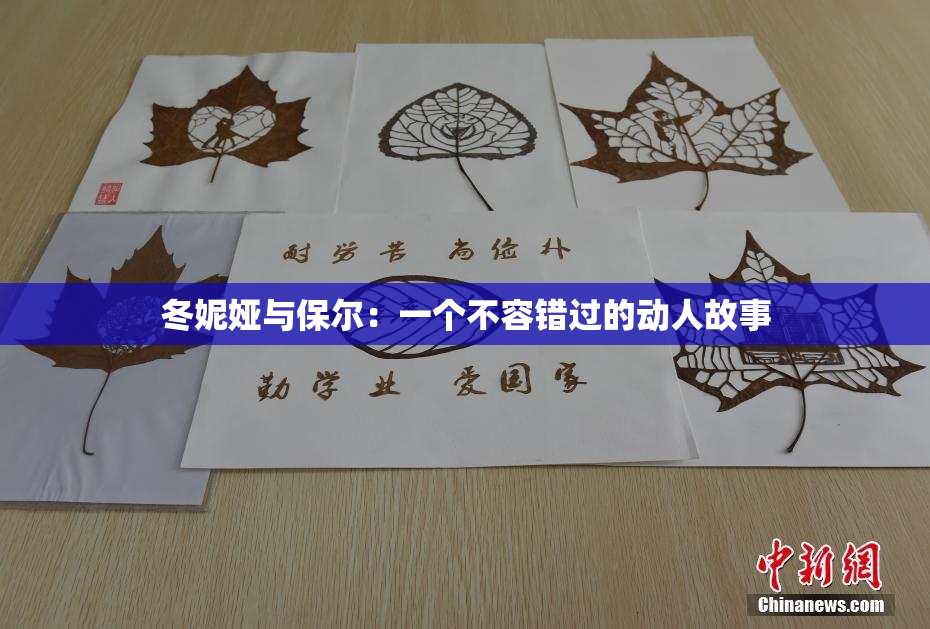 冬妮娅与保尔：一个不容错过的动人故事