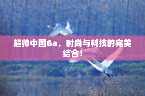 超帅中国Ga，时尚与科技的完美结合！