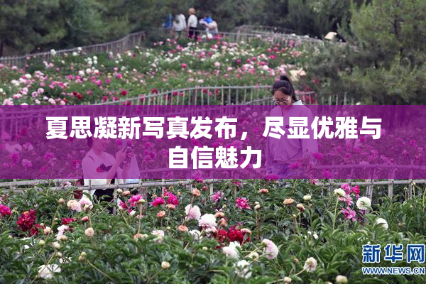 夏思凝新写真发布，尽显优雅与自信魅力