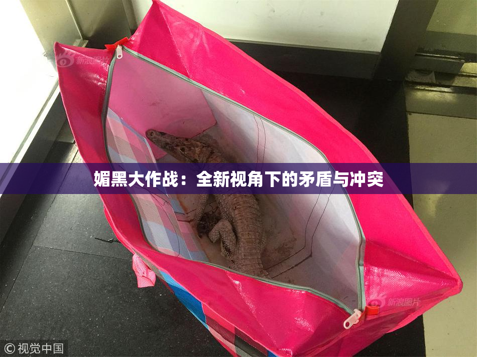 媚黑大作战：全新视角下的矛盾与冲突