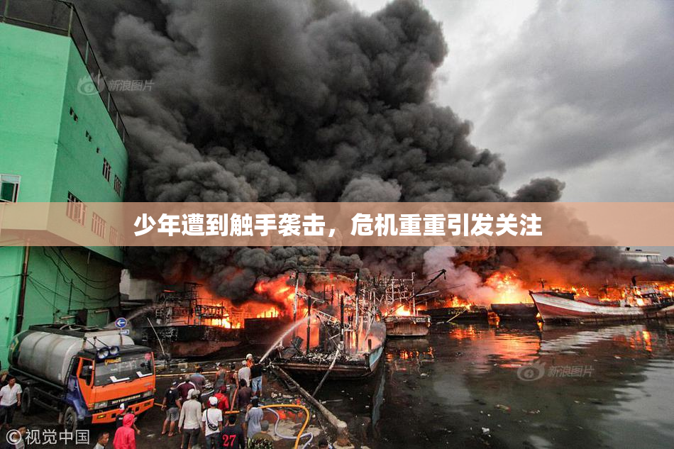 少年遭到触手袭击，危机重重引发关注