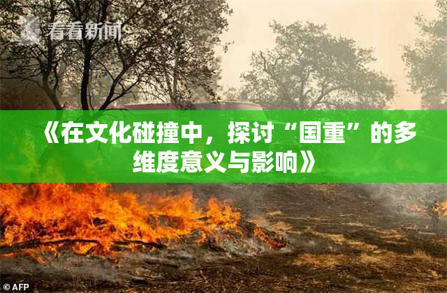 《在文化碰撞中，探讨“国重”的多维度意义与影响》