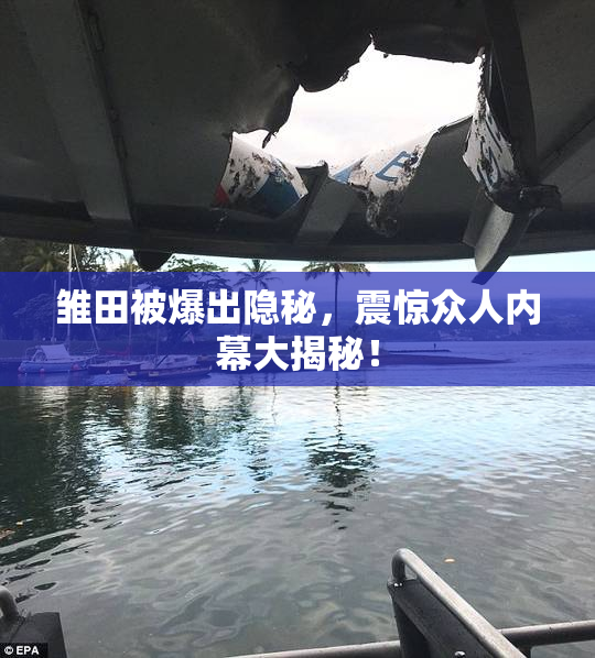 雏田被爆出隐秘，震惊众人内幕大揭秘！