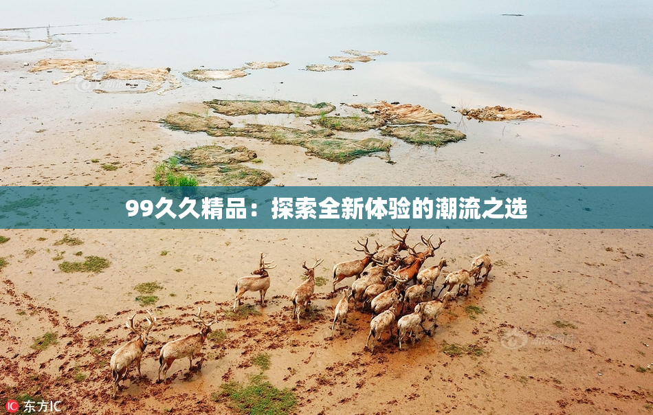99久久精品：探索全新体验的潮流之选