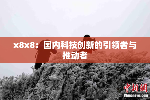 x8x8：国内科技创新的引领者与推动者
