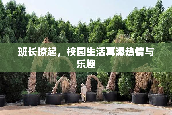 班长撩起，校园生活再添热情与乐趣