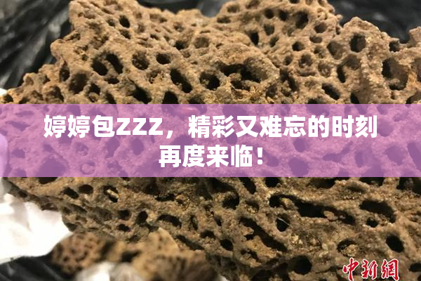婷婷包ZZZ，精彩又难忘的时刻再度来临！