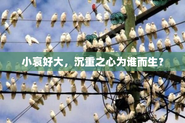小哀好大，沉重之心为谁而生？