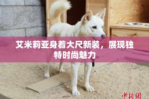 艾米莉亚身着大尺新装，展现独特时尚魅力
