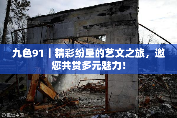 九色91丨精彩纷呈的艺文之旅，邀您共赏多元魅力！