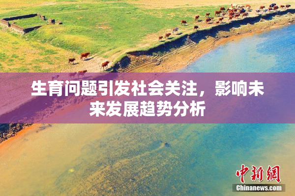 生育问题引发社会关注，影响未来发展趋势分析