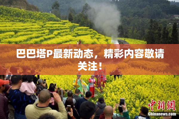 巴巴塔P最新动态，精彩内容敬请关注！