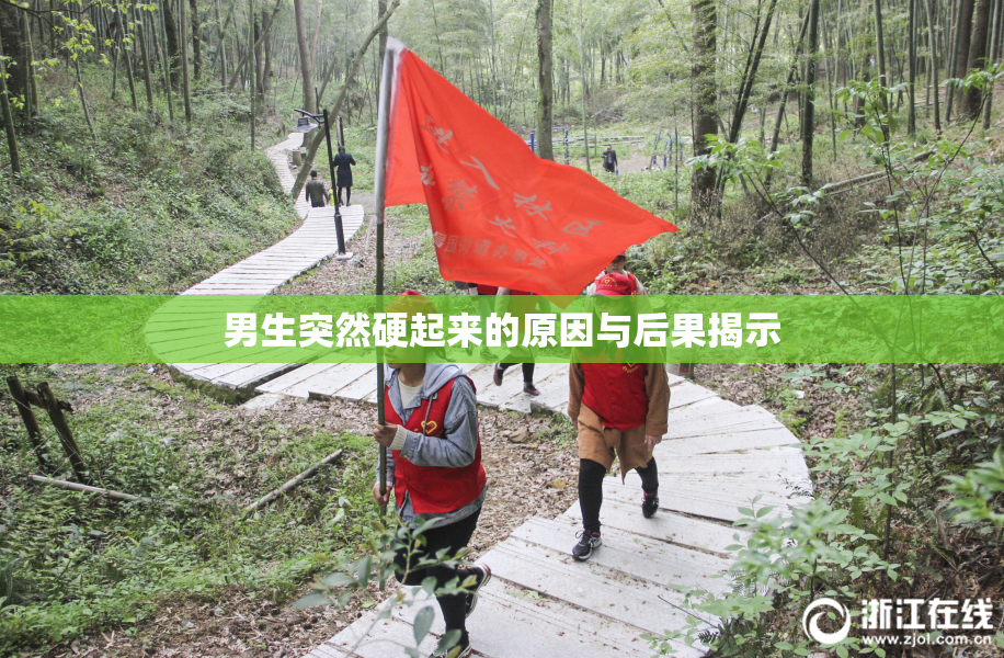 男生突然硬起来的原因与后果揭示
