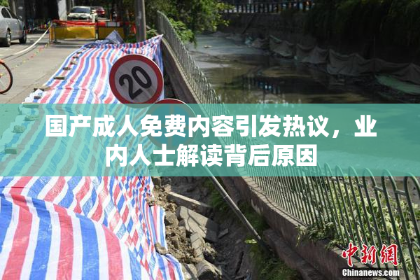 国产成人免费内容引发热议，业内人士解读背后原因