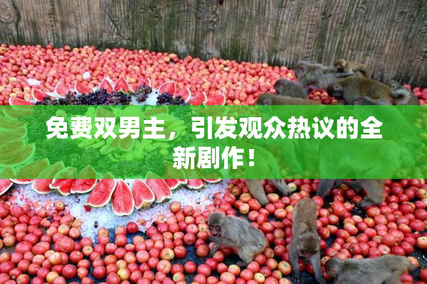 免费双男主，引发观众热议的全新剧作！
