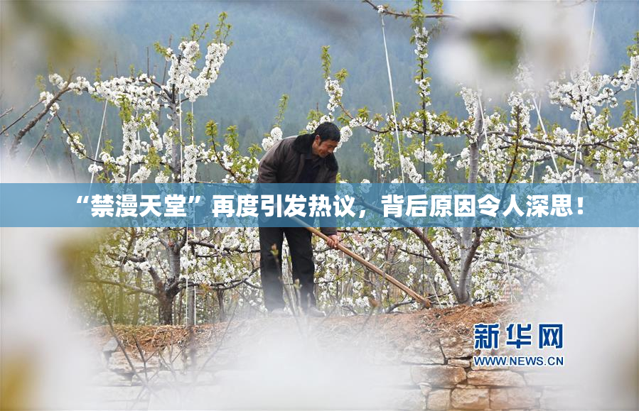 “禁漫天堂”再度引发热议，背后原因令人深思！