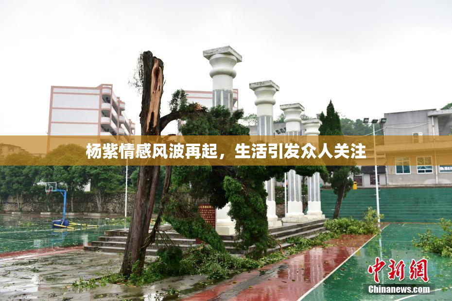 杨紫情感风波再起，生活引发众人关注