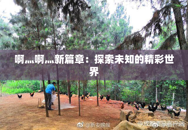 啊灬啊灬新篇章：探索未知的精彩世界
