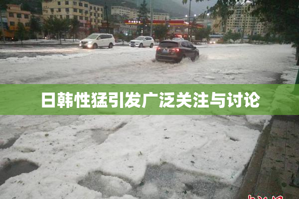 日韩性猛引发广泛关注与讨论