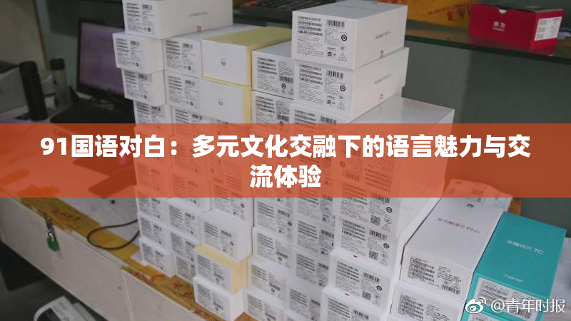 91国语对白：多元文化交融下的语言魅力与交流体验