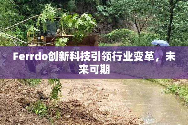 Ferrdo创新科技引领行业变革，未来可期