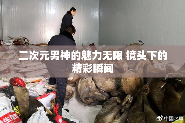 二次元男神的魅力无限 镜头下的精彩瞬间