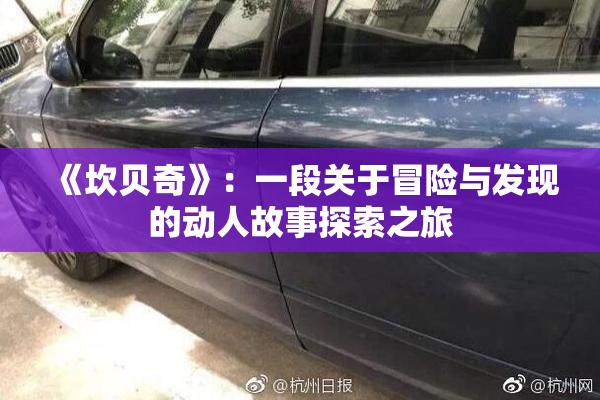 《坎贝奇》：一段关于冒险与发现的动人故事探索之旅