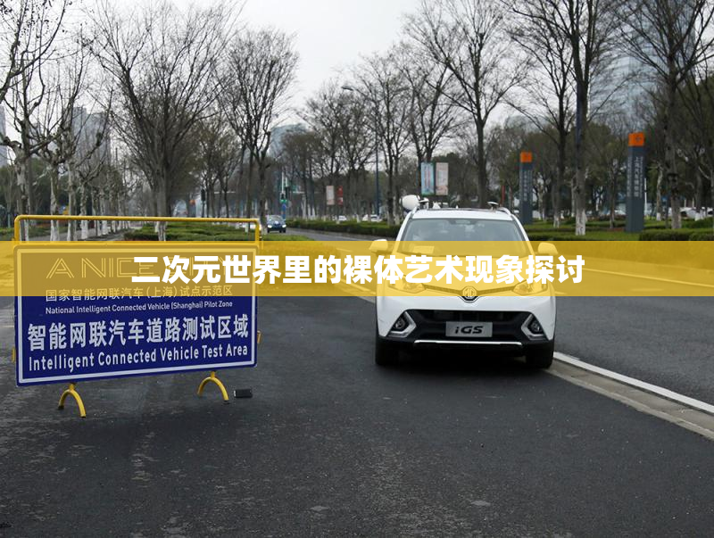 二次元世界里的裸体艺术现象探讨