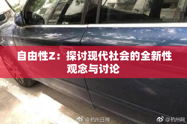 自由性Z：探讨现代社会的全新性观念与讨论
